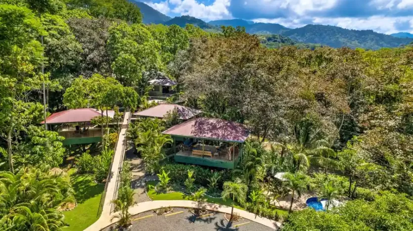 Tree house Villas For Sale