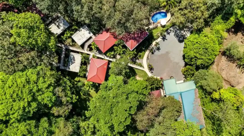 Tree house Villas For Sale
