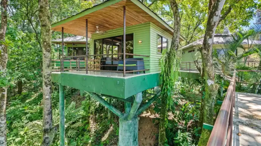 Tree house Villas For Sale