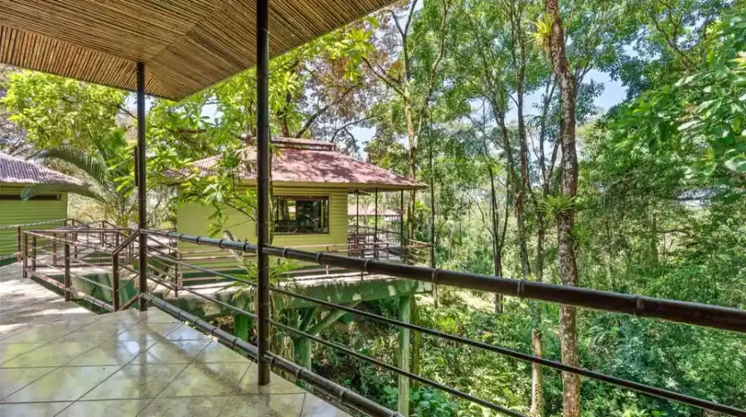 Tree house Villas For Sale