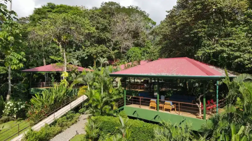 Tree house Villas For Sale