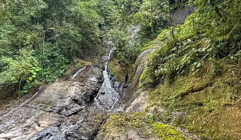 A Unique Rainforest Estate with Two Luxury Homes, River, and Waterfall on 4.93 Acres in Uvita