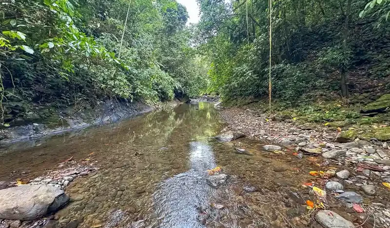 A Unique Rainforest Estate with Two Luxury Homes, River, and Waterfall on 4.93 Acres in Uvita
