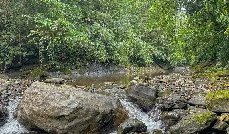 A Unique Rainforest Estate with Two Luxury Homes, River, and Waterfall on 4.93 Acres in Uvita