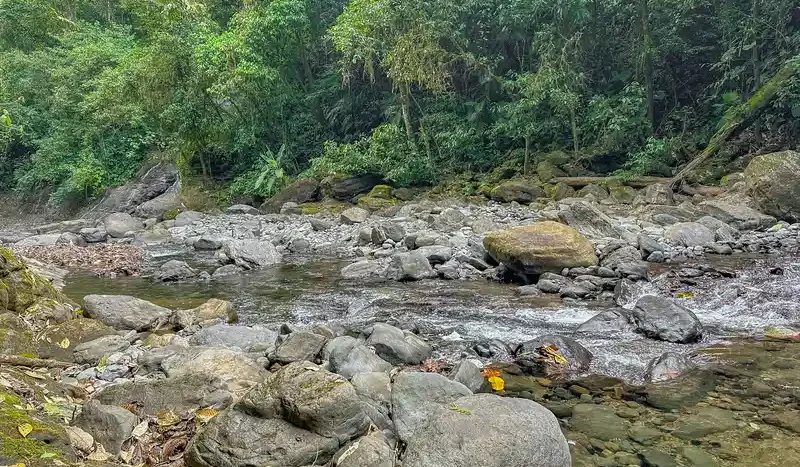 A Unique Rainforest Estate with Two Luxury Homes, River, and Waterfall on 4.93 Acres in Uvita