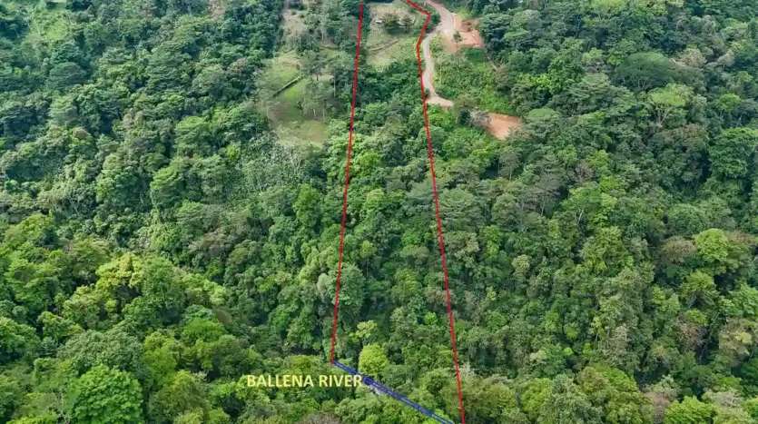 A Unique Rainforest Estate with Two Luxury Homes, River, and Waterfall on 4.93 Acres in Uvita