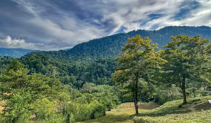 A Unique Rainforest Estate with Two Luxury Homes, River, and Waterfall on 4.93 Acres in Uvita