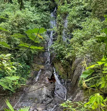 A Unique Rainforest Estate with Two Luxury Homes, River, and Waterfall on 4.93 Acres in Uvita