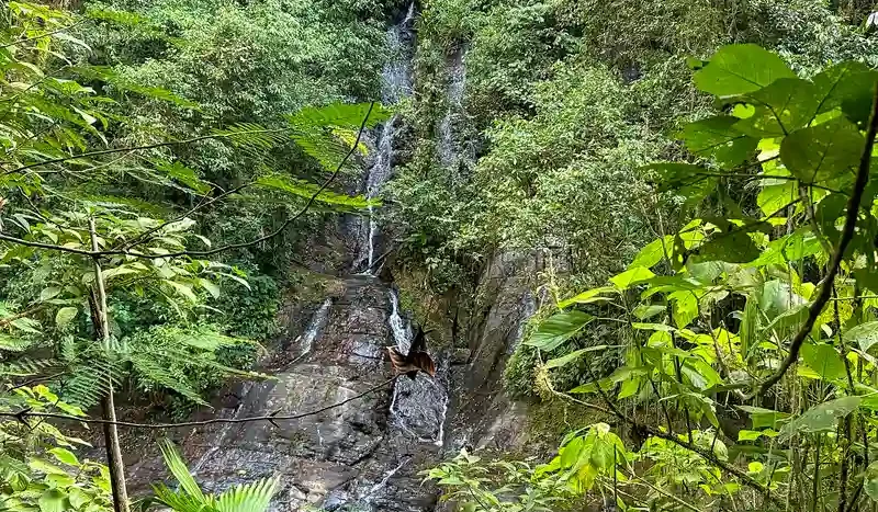 A Unique Rainforest Estate with Two Luxury Homes, River, and Waterfall on 4.93 Acres in Uvita